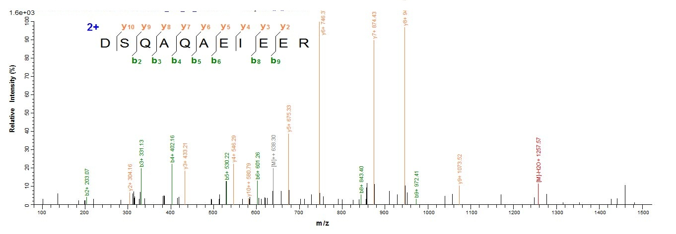 Bacterial hns protein