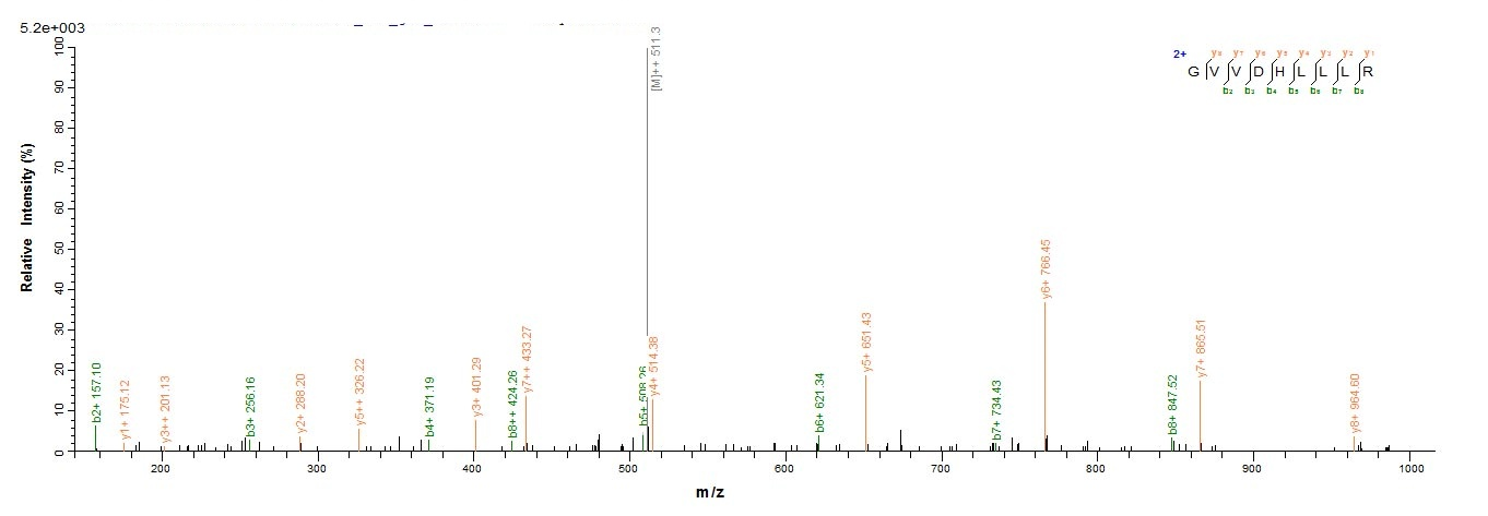 Human MB21D1 protein