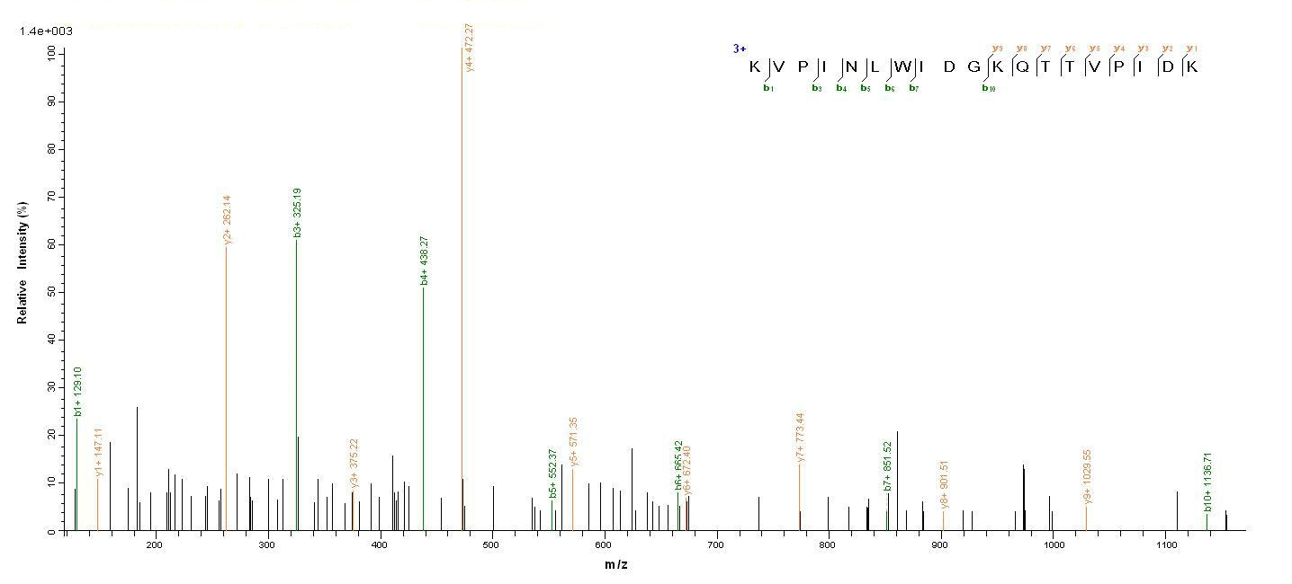 Bacterial entE protein