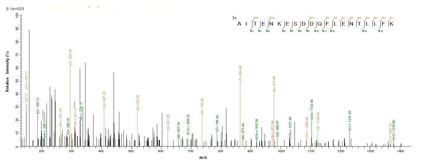 Bacterial entE protein