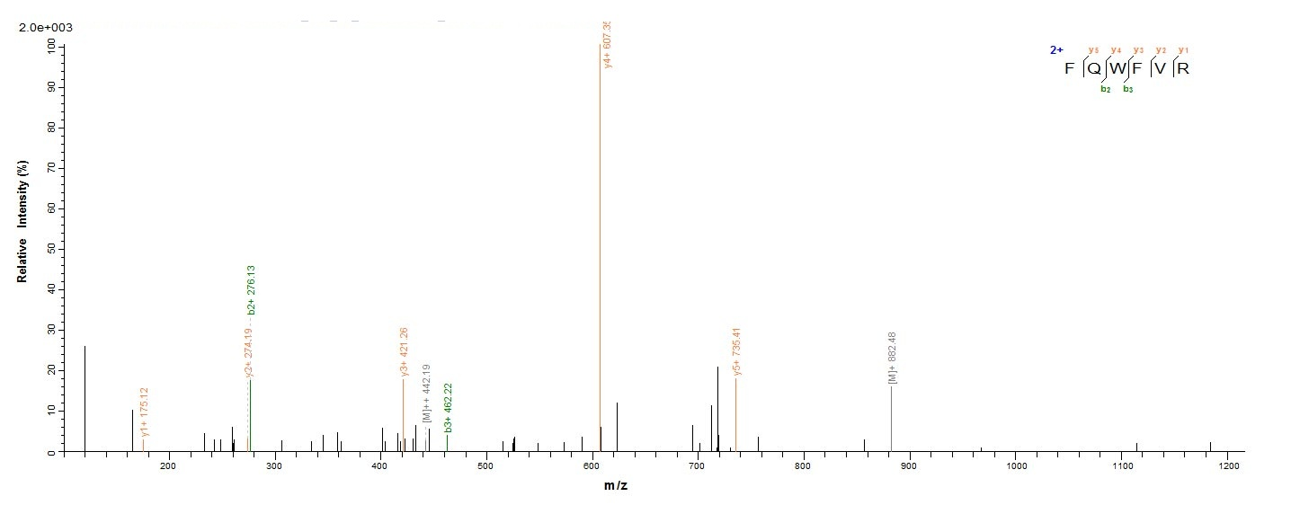 Bacterial dps protein