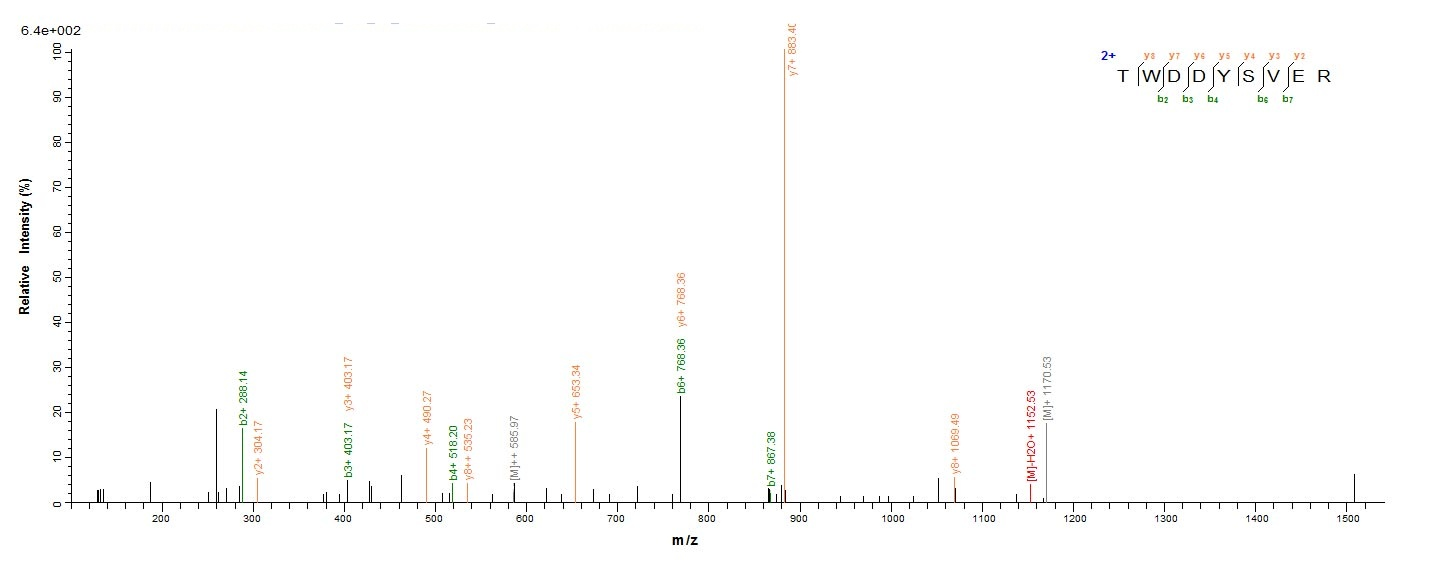 Bacterial dps protein