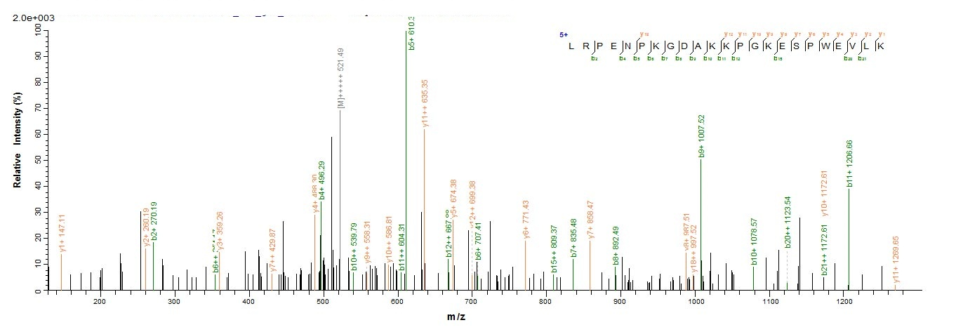 Human HRH1 protein