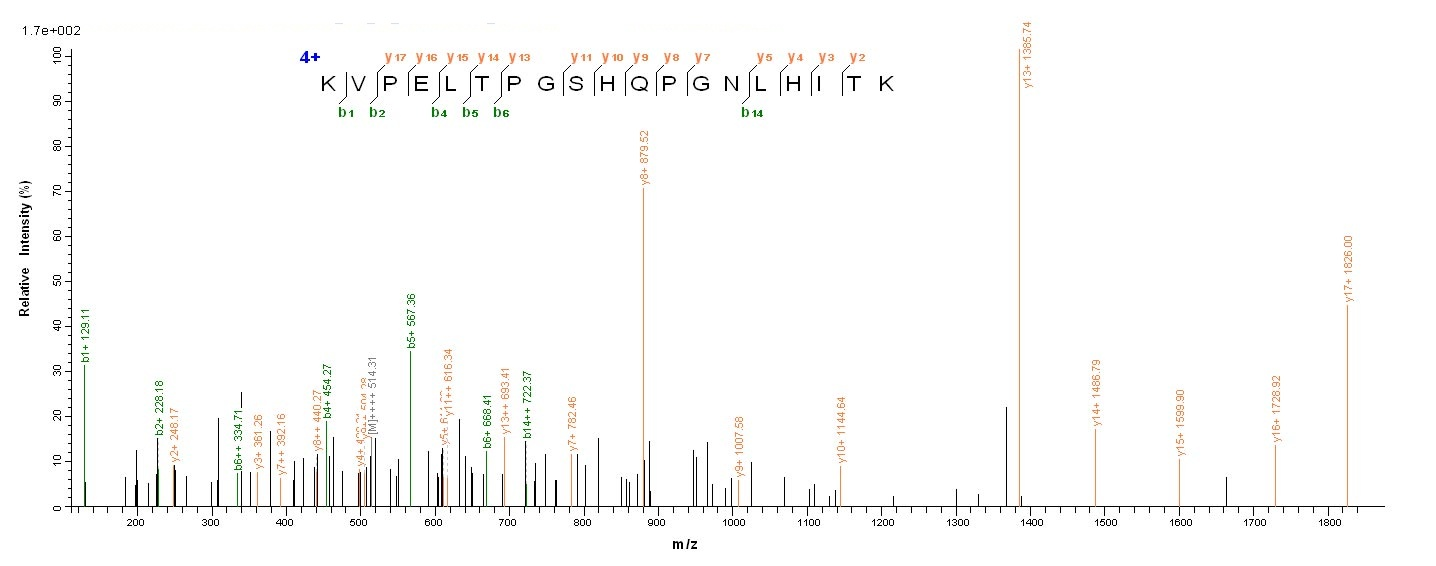Viral NP protein