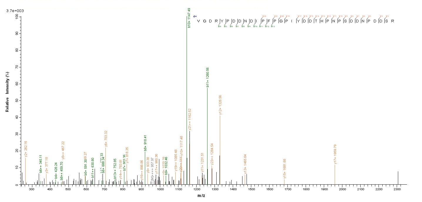 Viral NP protein