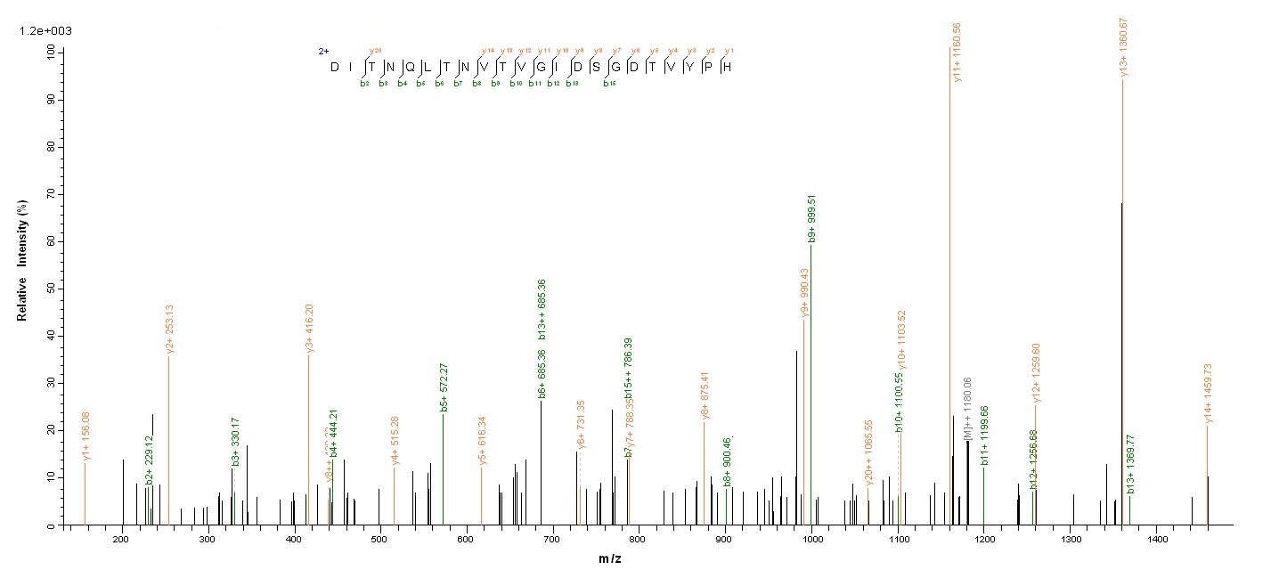 Bacterial clfA protein