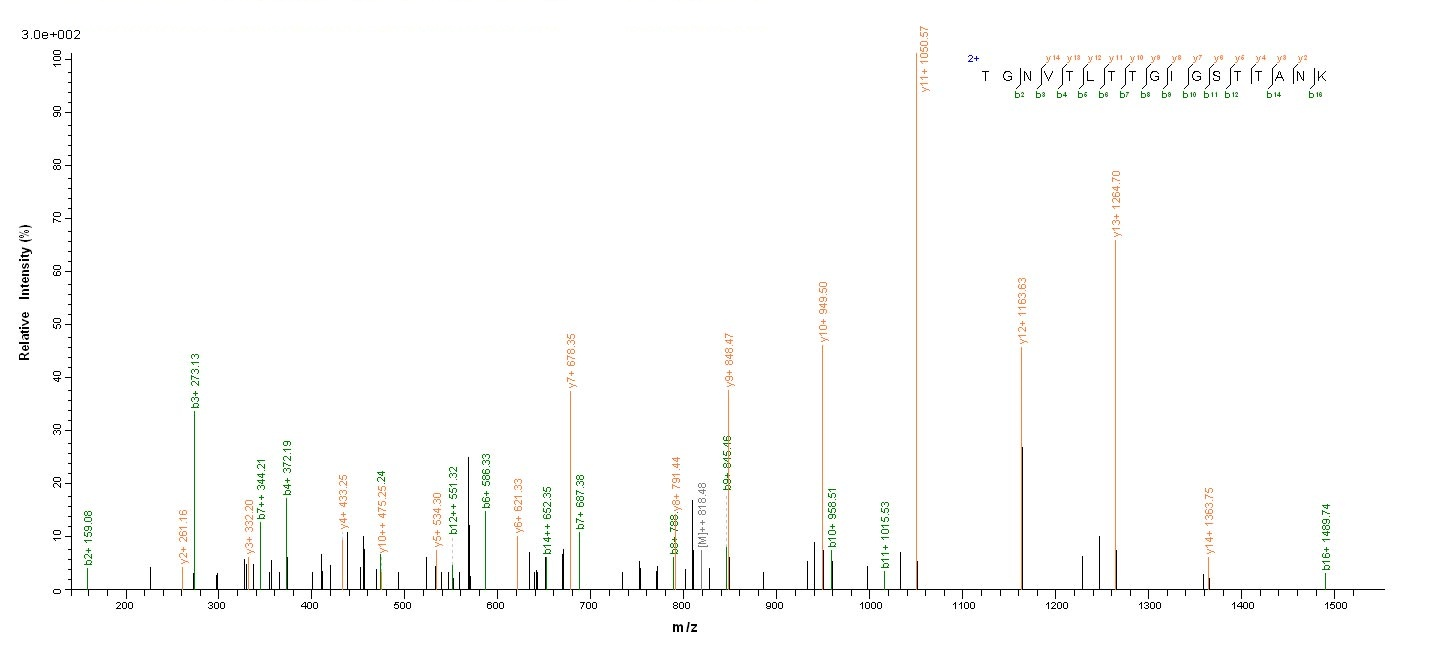 Bacterial clfA protein