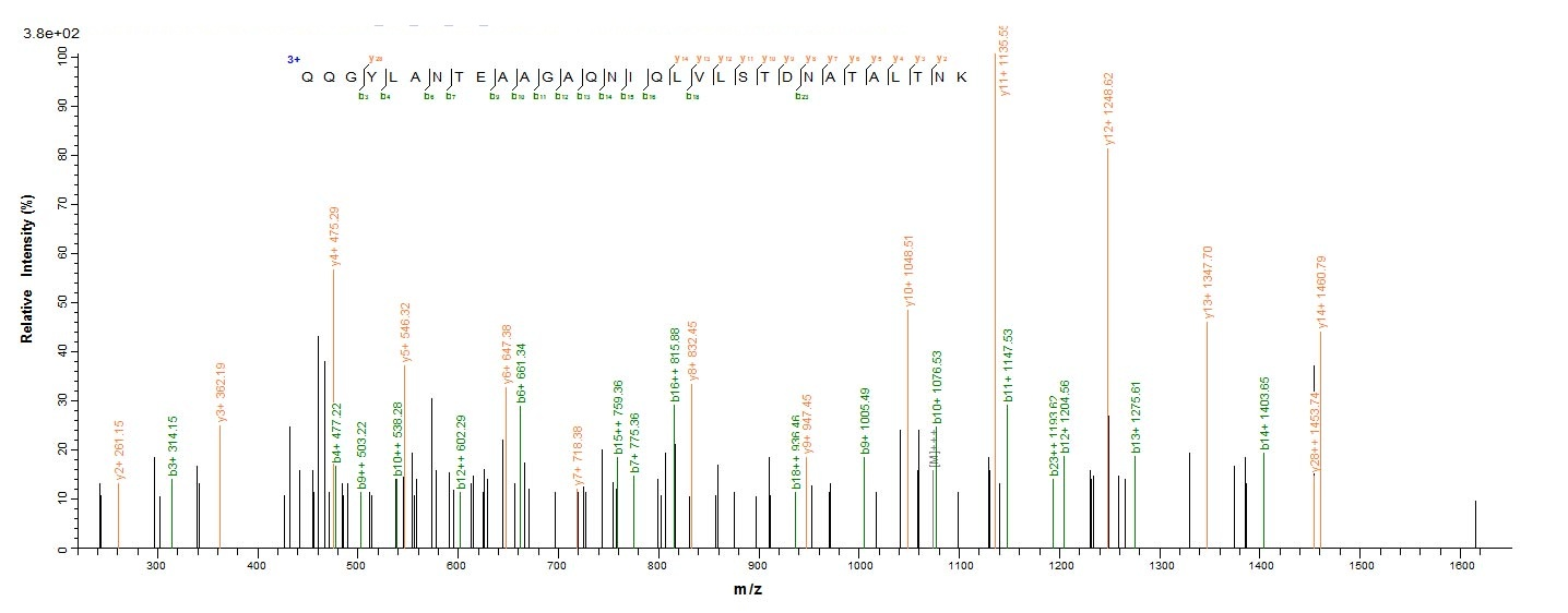 Bacterial mrkA protein
