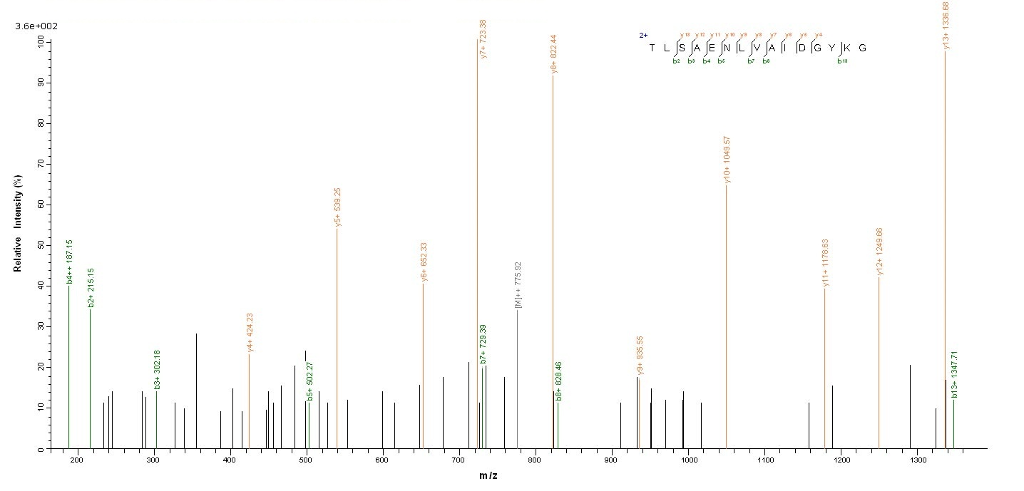 Bacterial pmpD protein