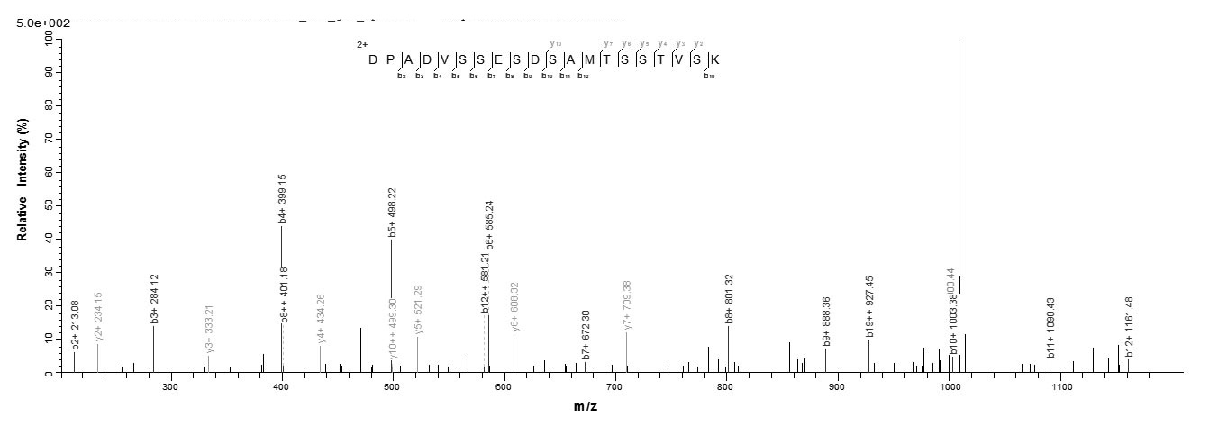 Human ATG14 protein
