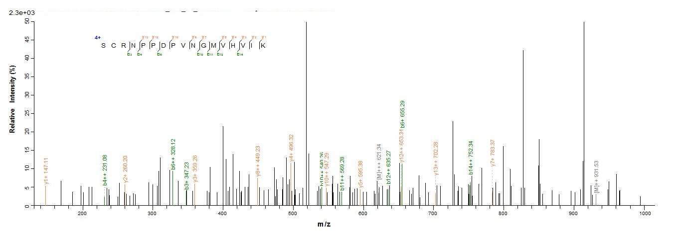 Human CD35 protein