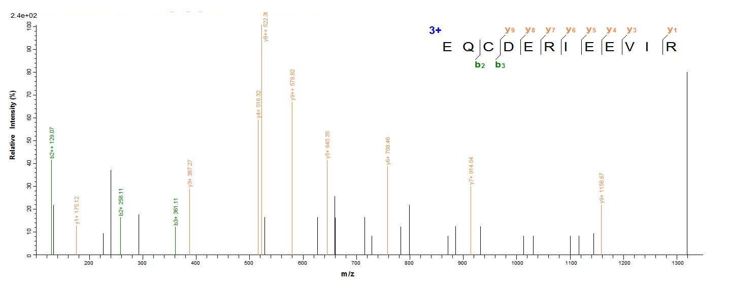 Mouse GP73 protein