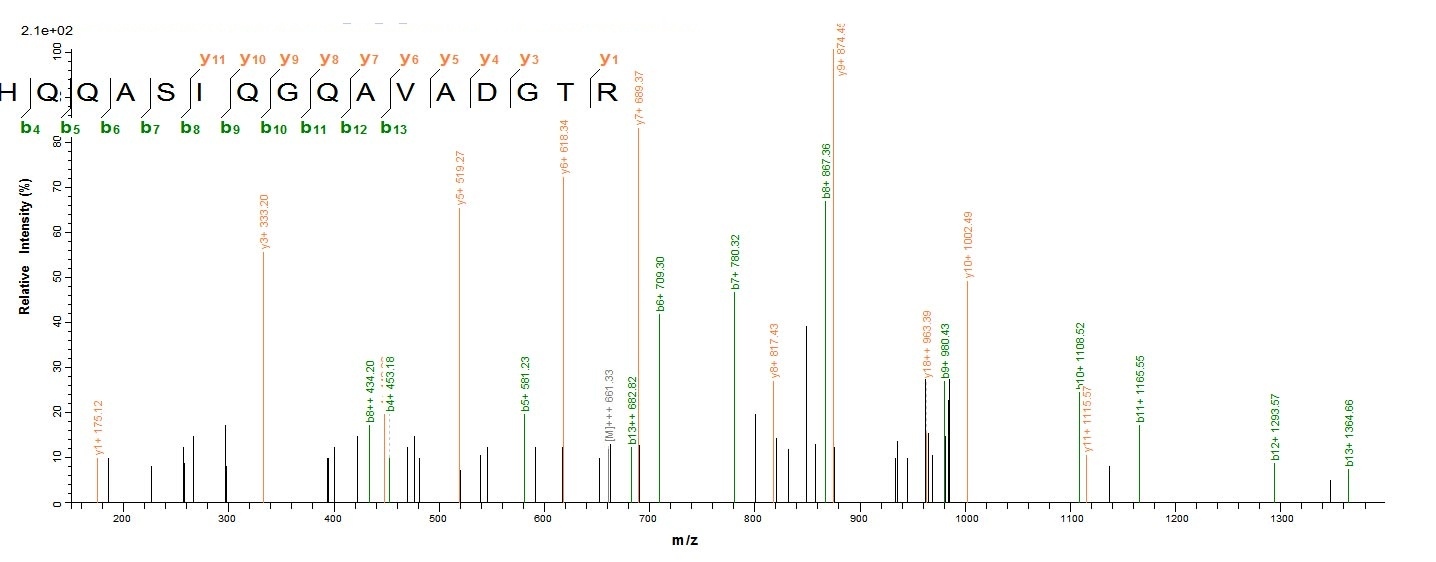 Mouse GP73 protein