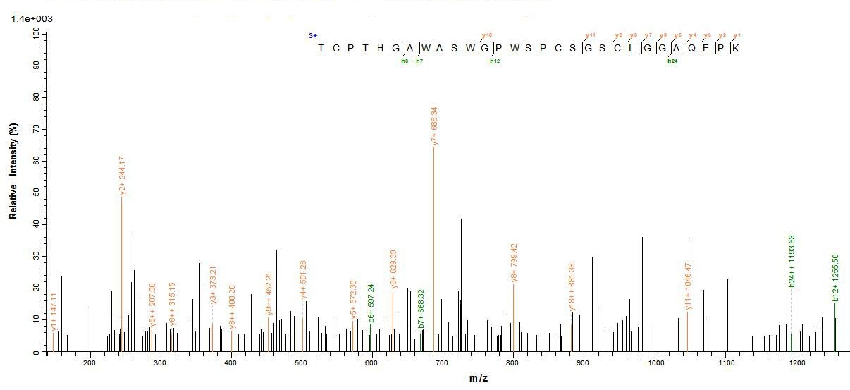 Mouse Cfp protein