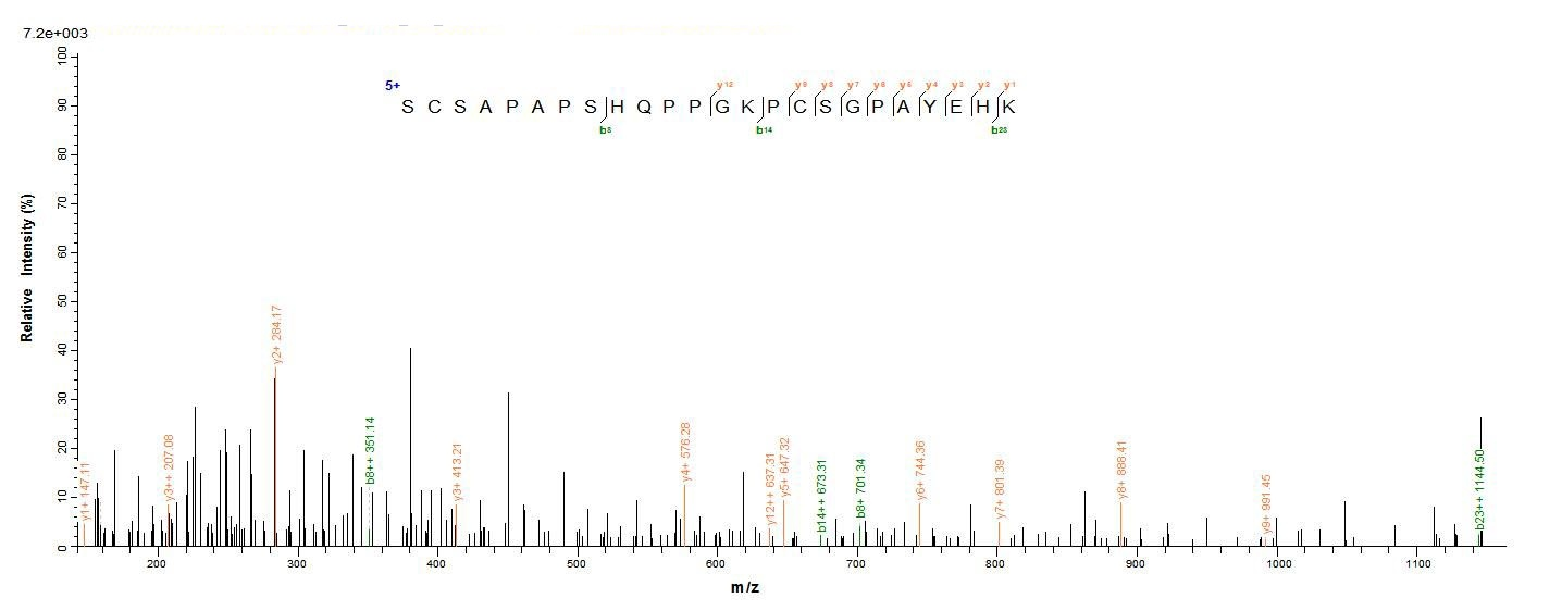 Mouse Cfp protein