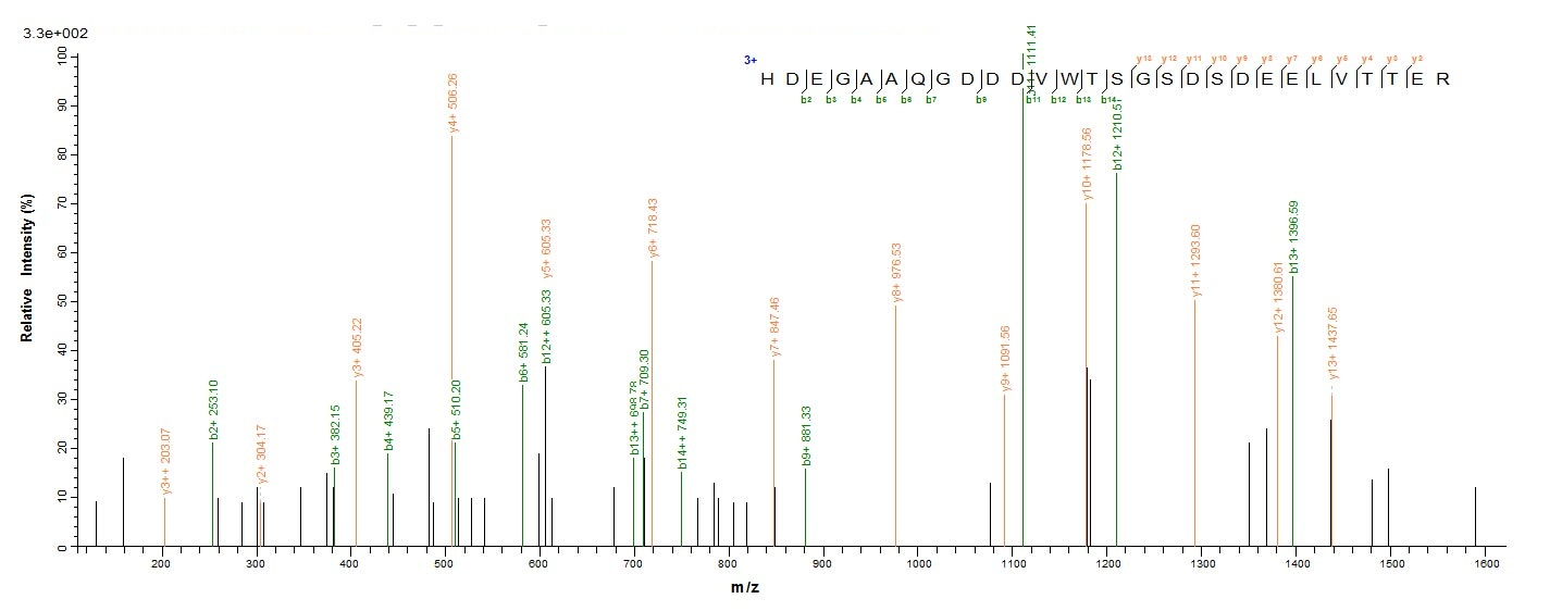 Viral UL83 protein