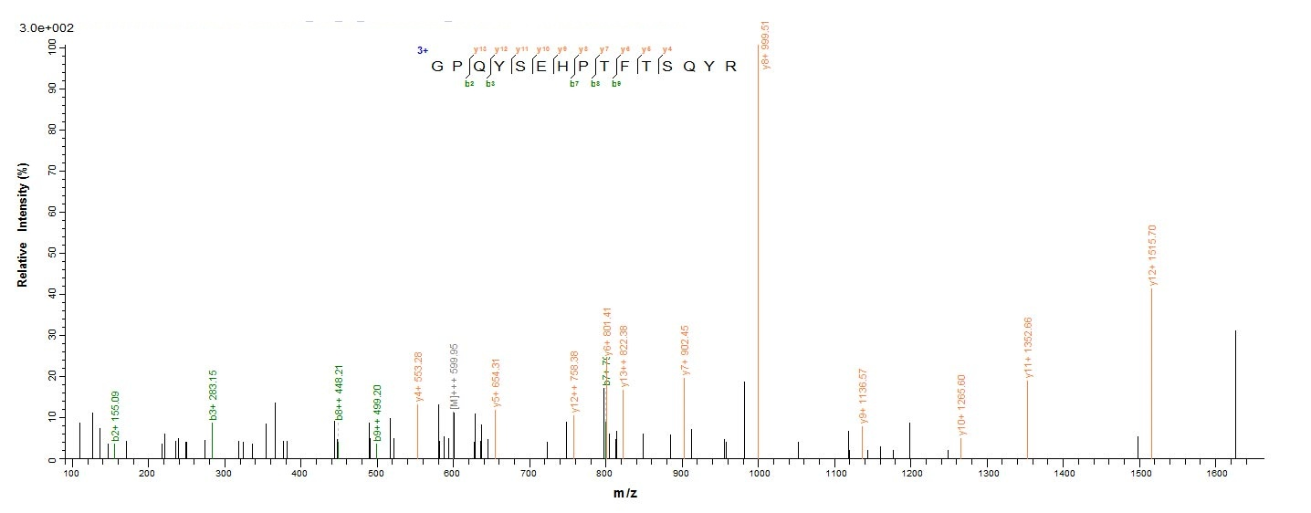 Viral UL83 protein
