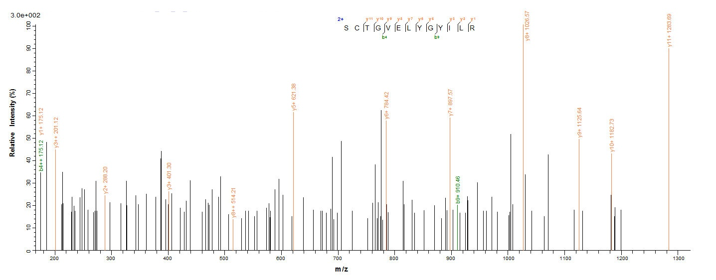 Plant Cyanovirin-N homolog protein