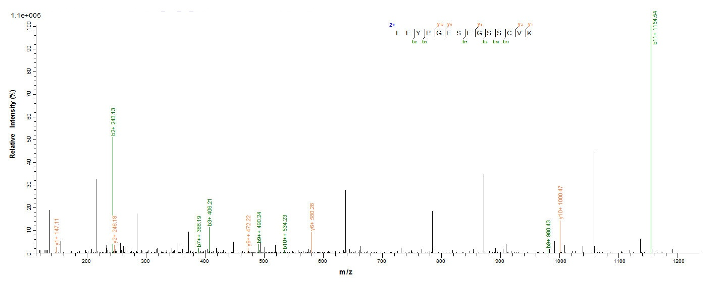 Plant Cyanovirin-N homolog protein