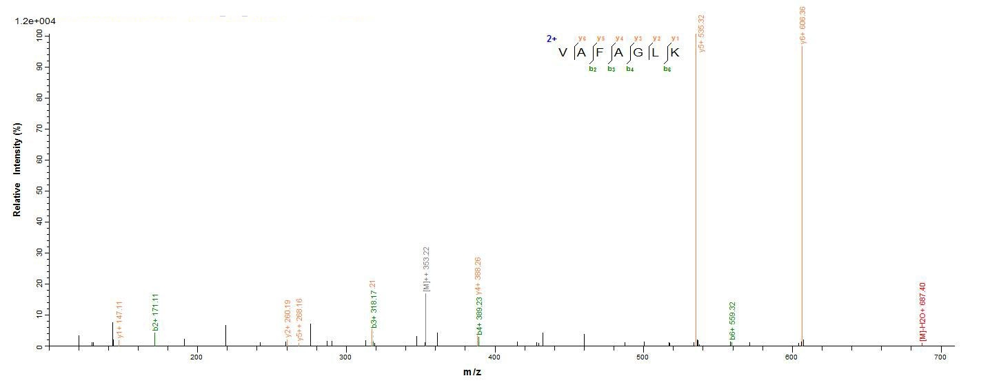E. coli ompC protein