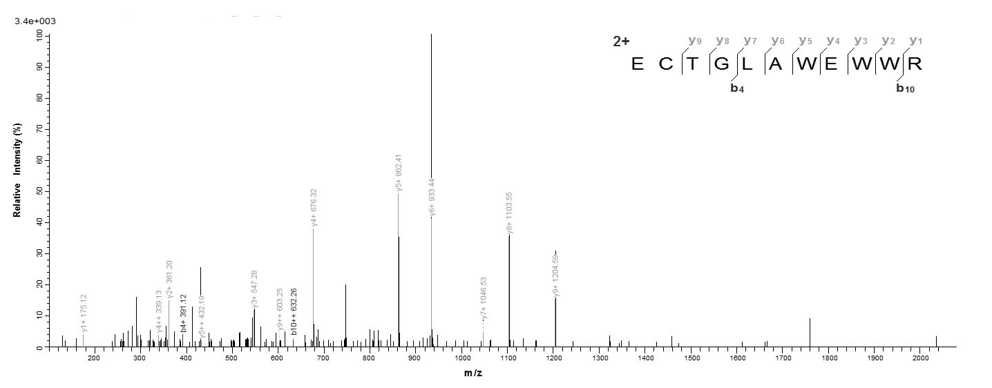 Viral pfo protein
