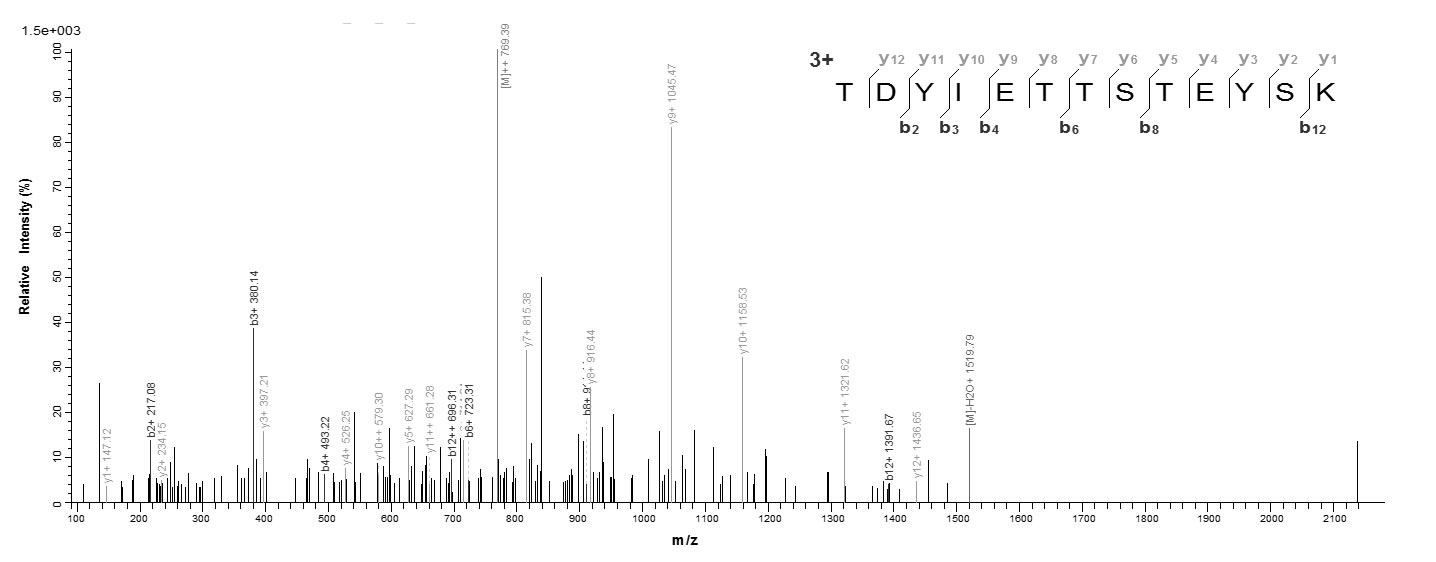 Viral pfo protein