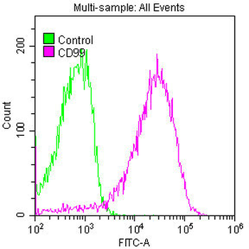 CD99 Antibody
