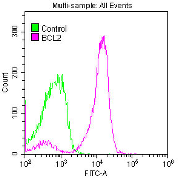 BCL2 Antibody