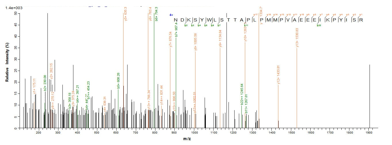 Mouse Collagen IV protein