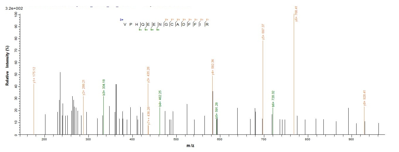 Human SPRED1 protein