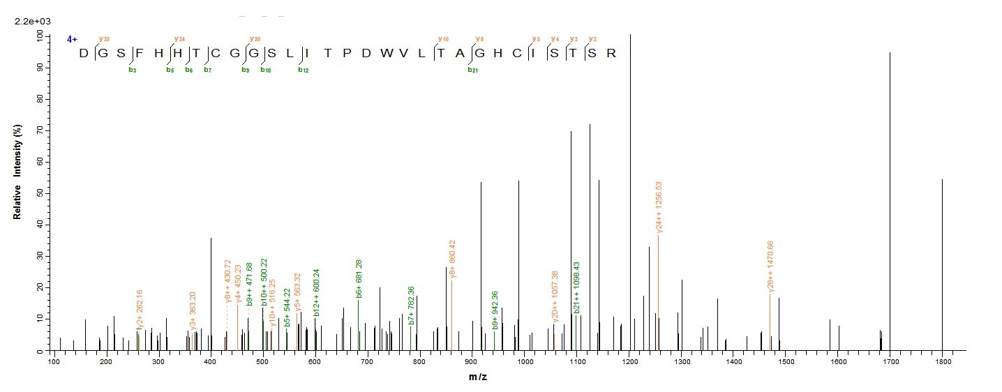 Mouse Cela3b protein