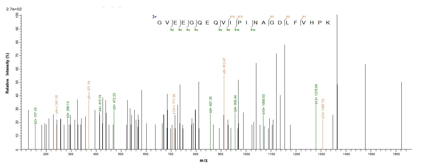 Mouse Cela3b protein