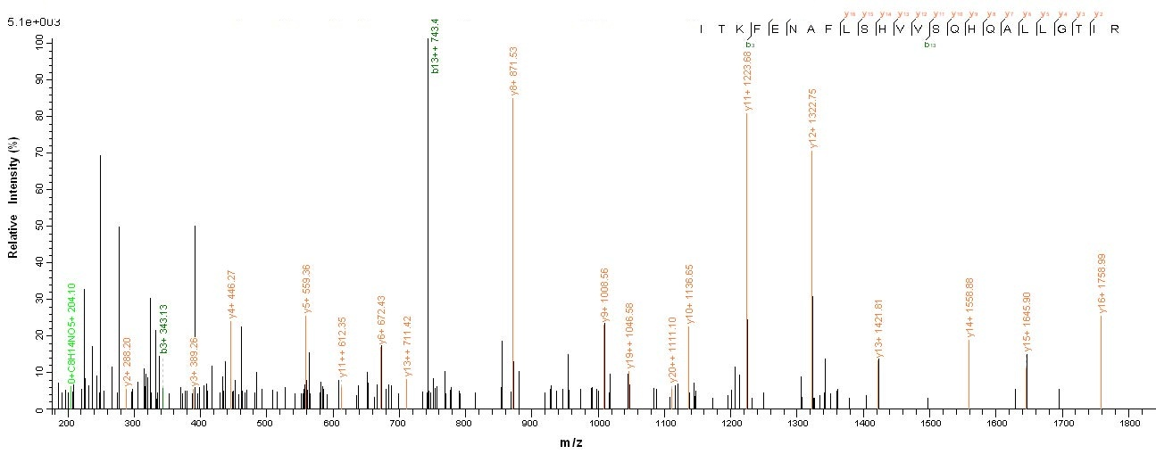 Human ATP5A1 protein