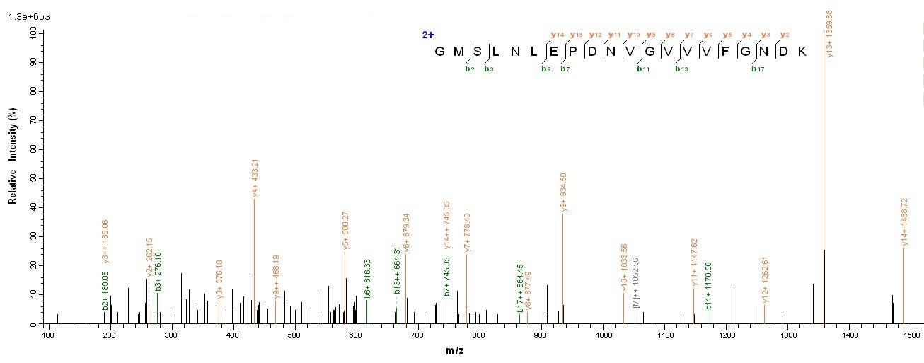 Human ATP5A1 protein