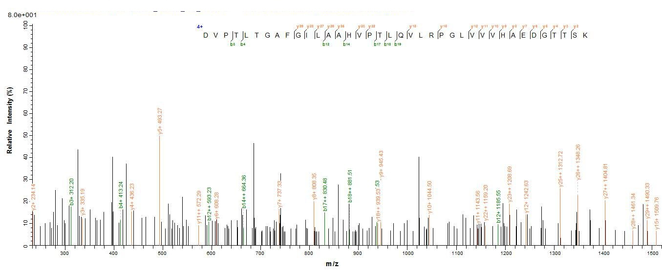 Human ATP5D protein