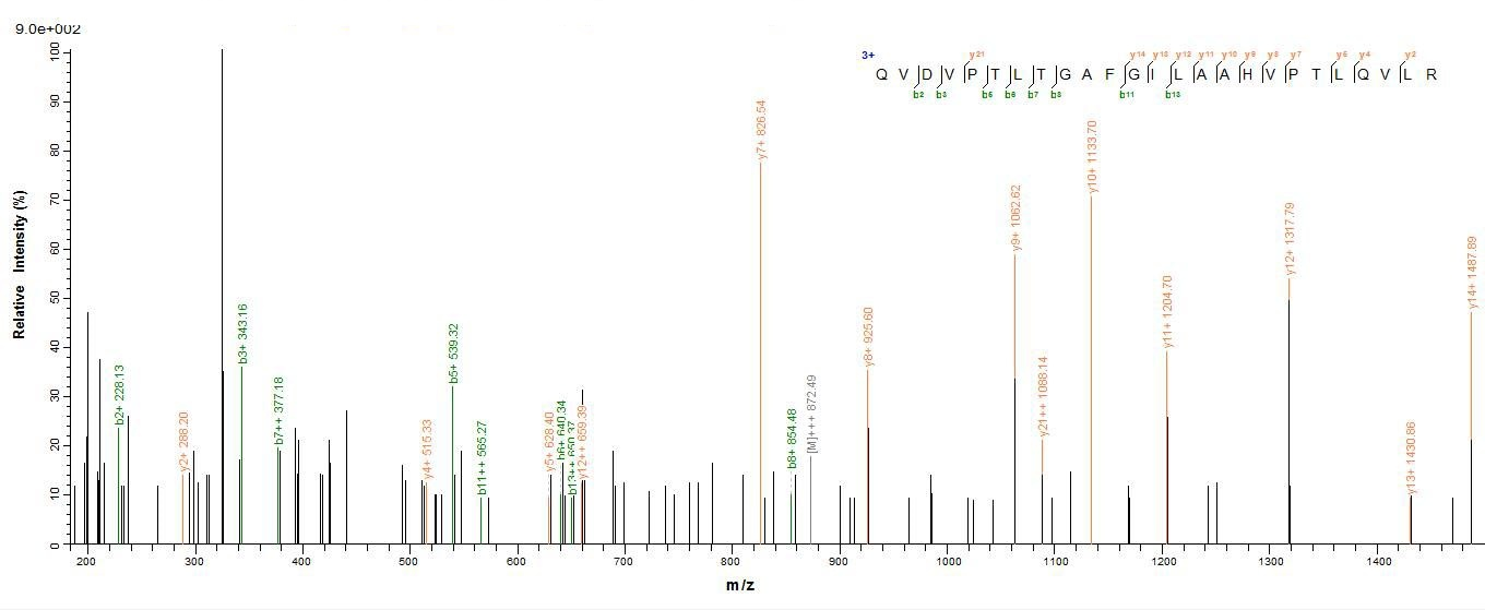 Human ATP5D protein