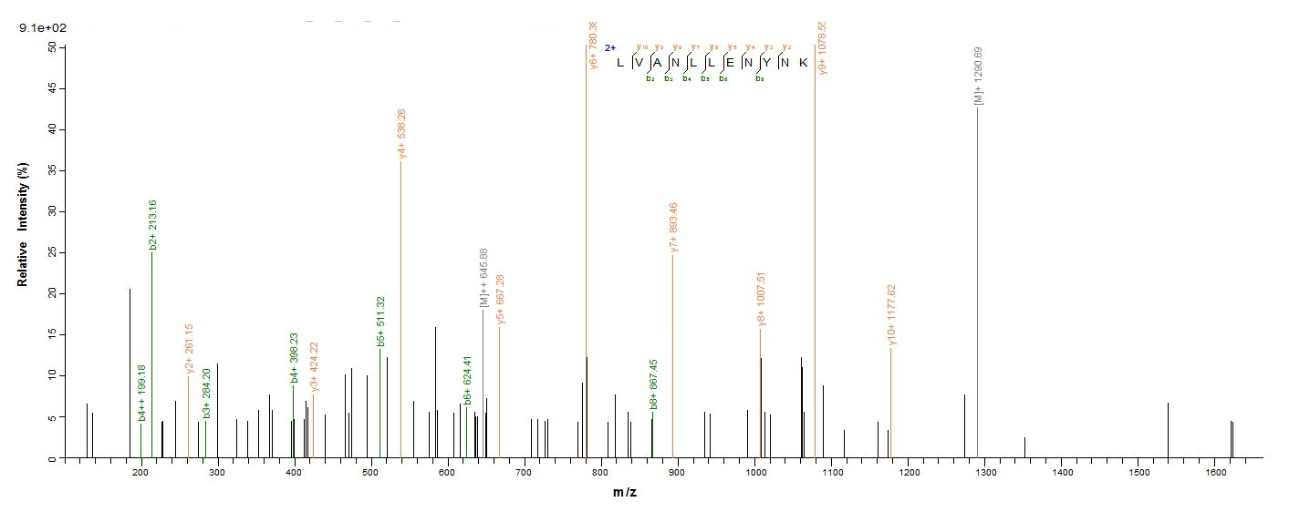 Fish CHRNA1 protein