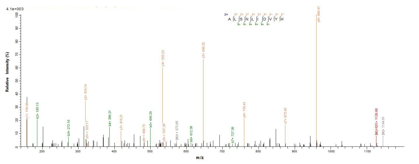 Mouse S100A8 protein