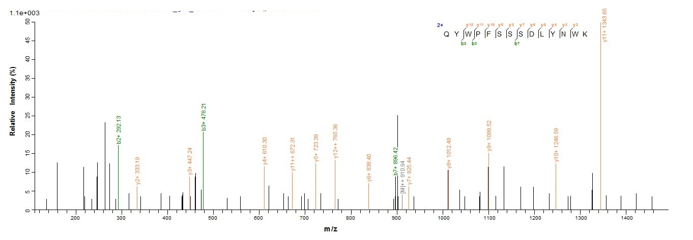 Viral GAG protein