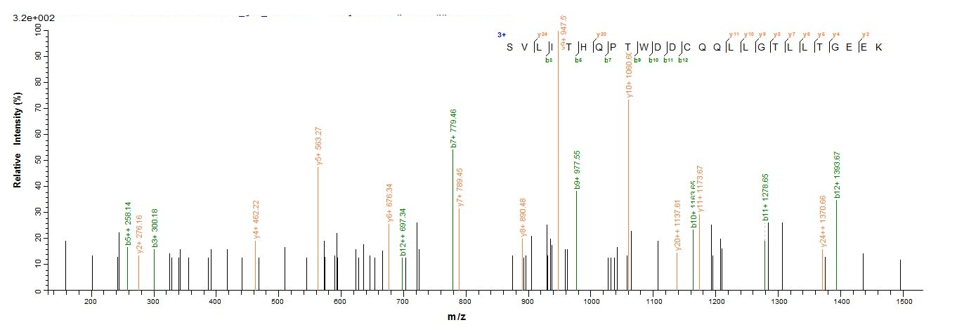 Viral GAG protein
