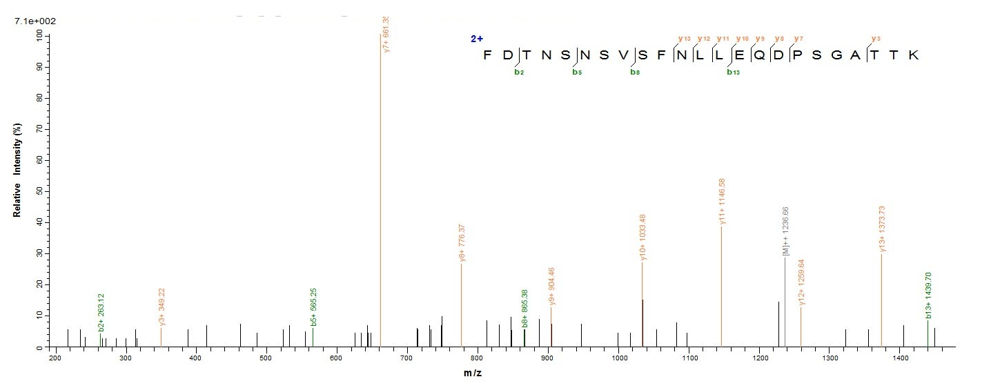 Bacterial TETX protein