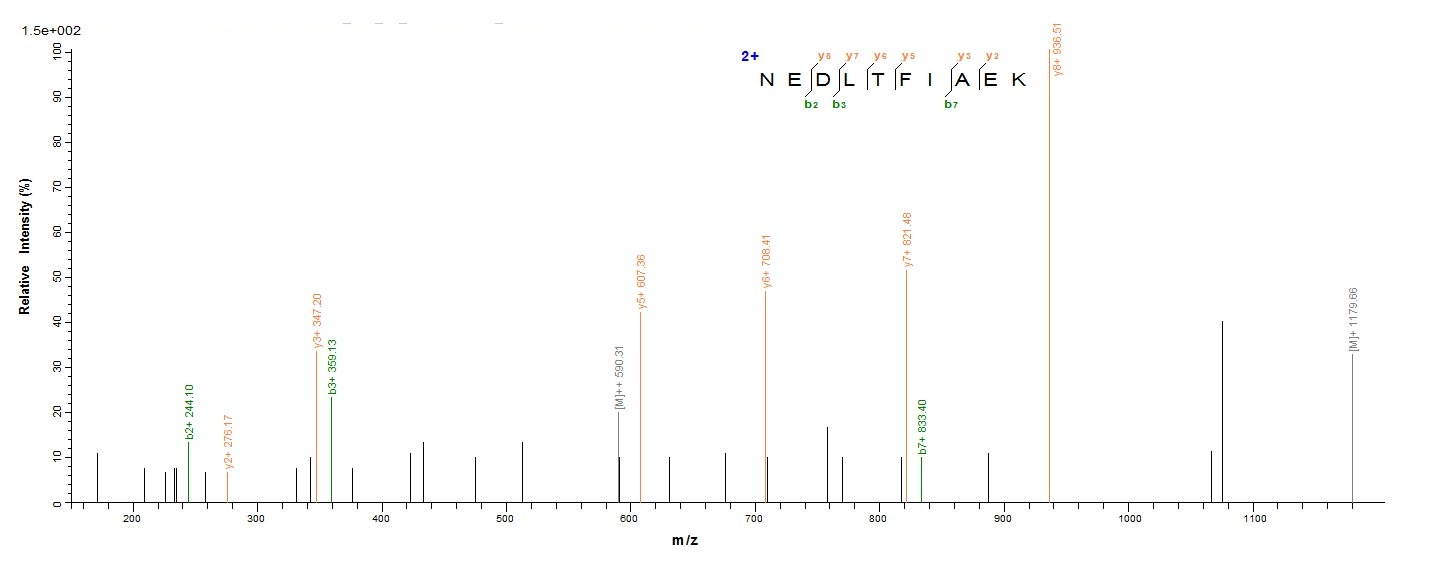 Bacterial TETX protein