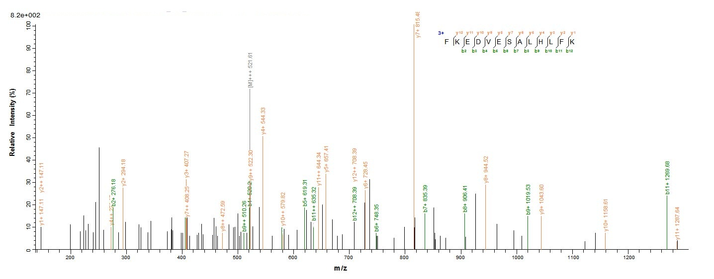 Viral GPC protein