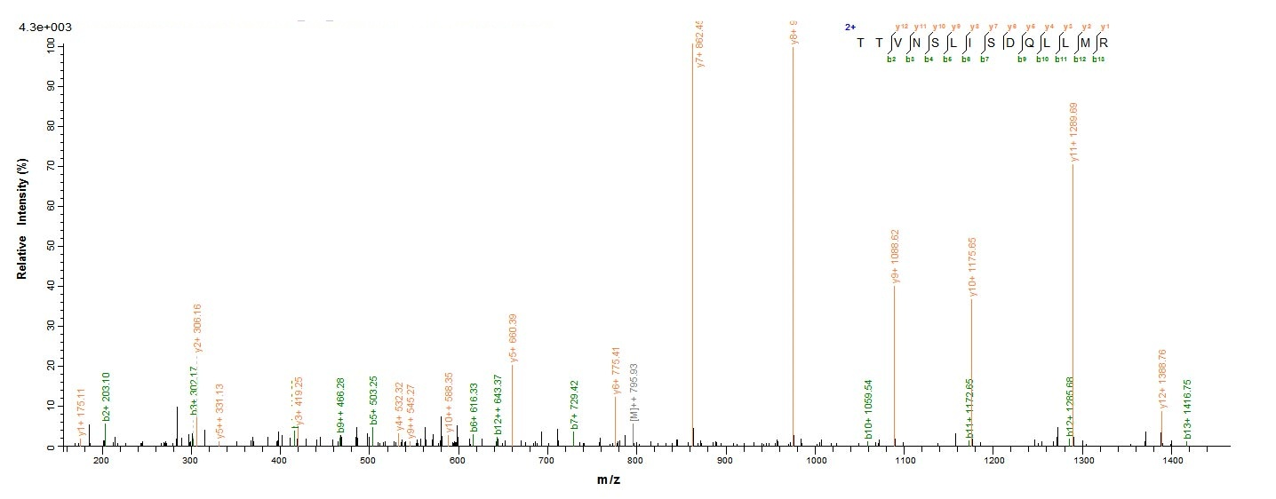 Viral GPC protein