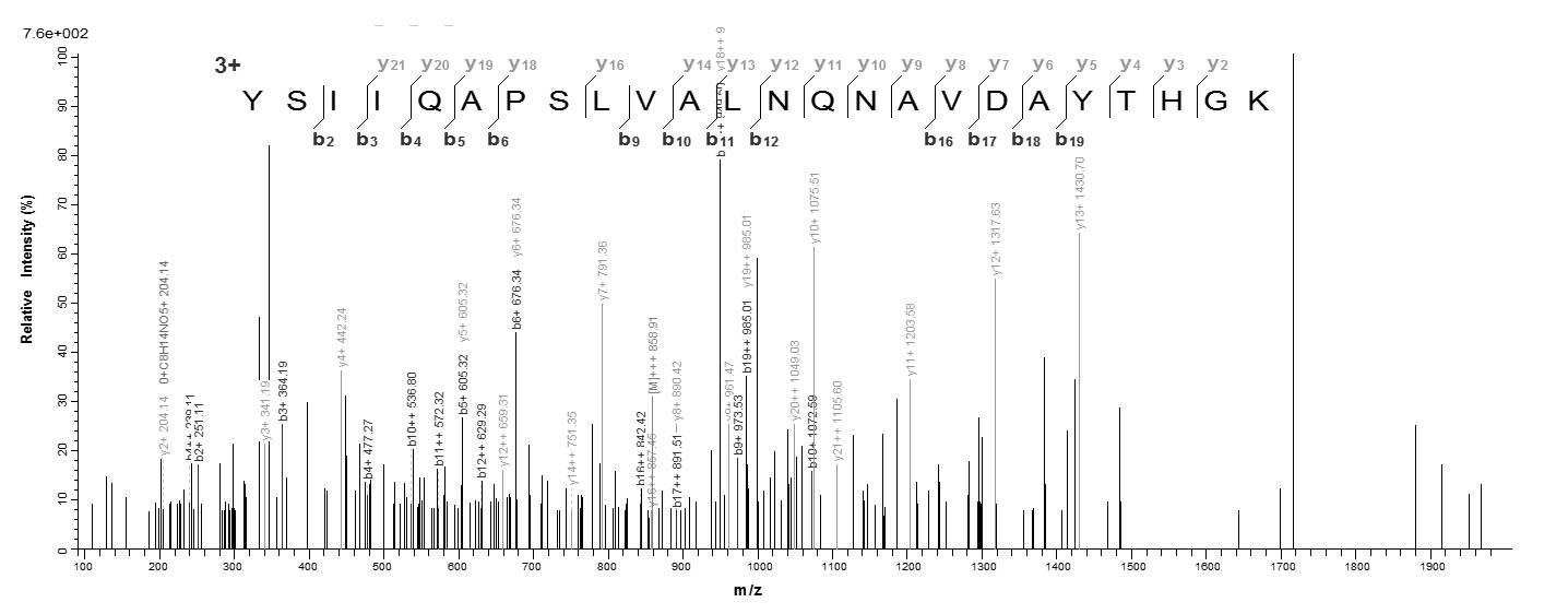 Bacterial GELE protein