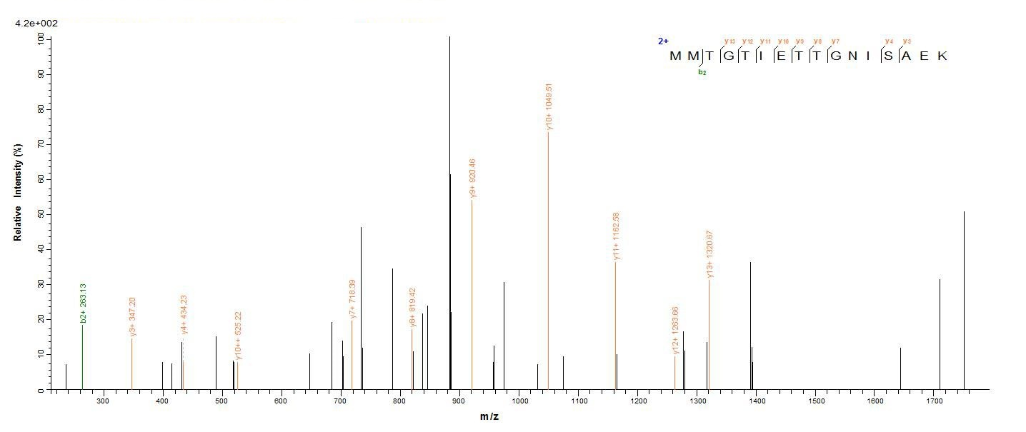 Human TIGIT protein
