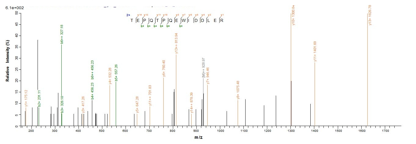 Bacterial Angiotensinogen protein