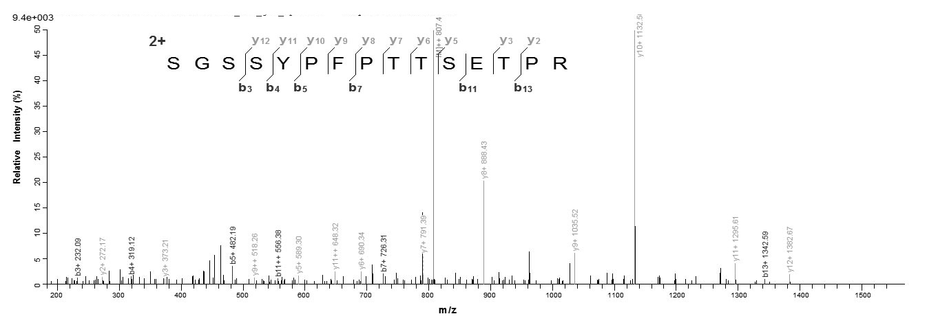 E. coli FIMH protein