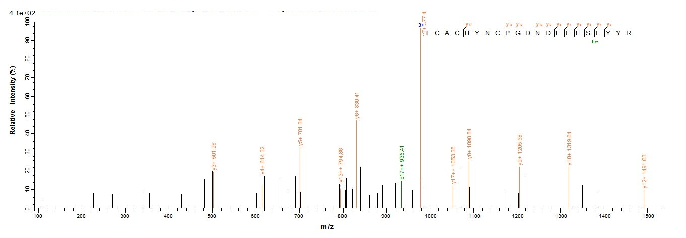 Mouse CTGF protein