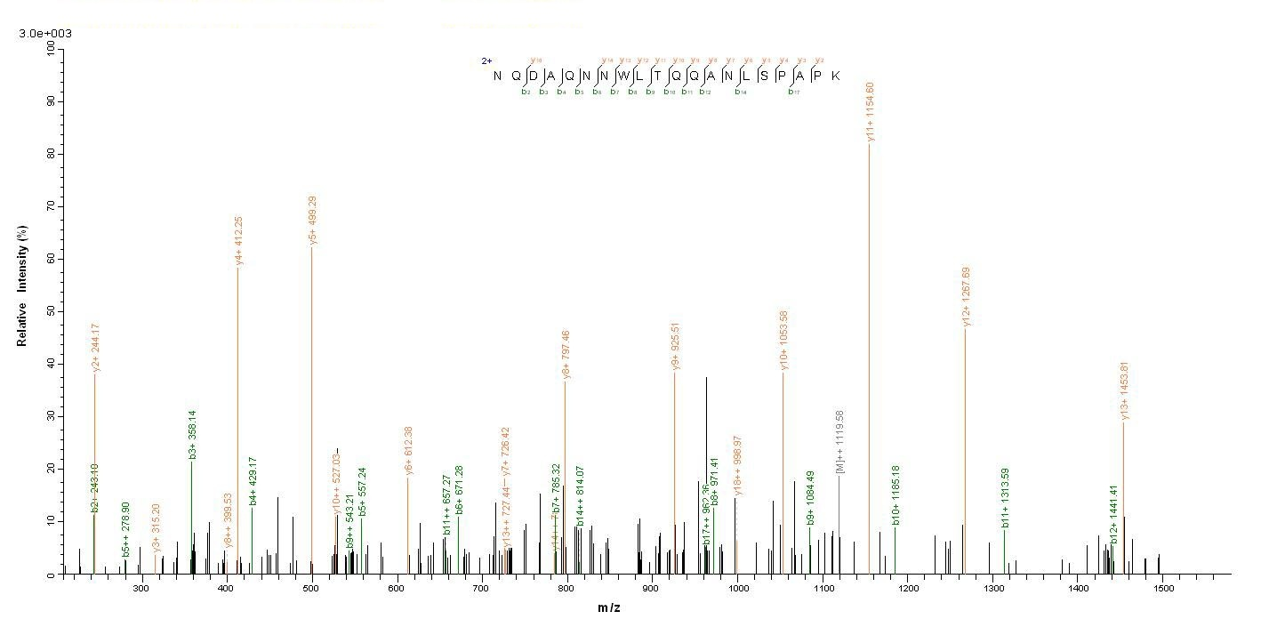 Bacterial P46 protein